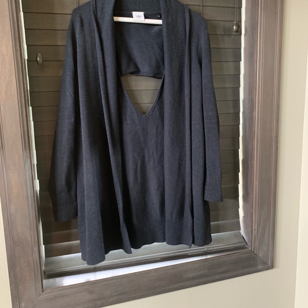 Cabi Victoria sweater from Fall 2017